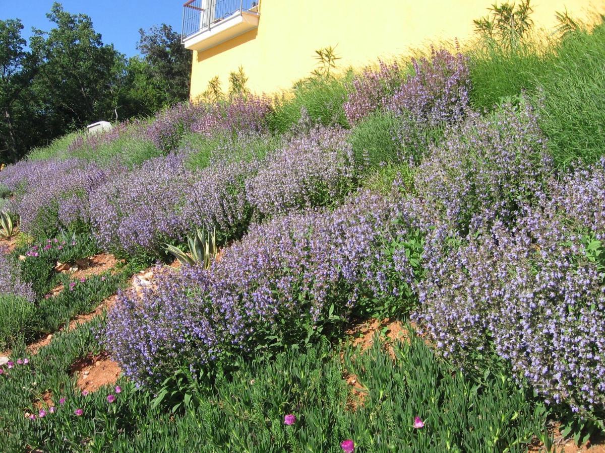 Villa Katarina Mošćenička Draga Buitenkant foto