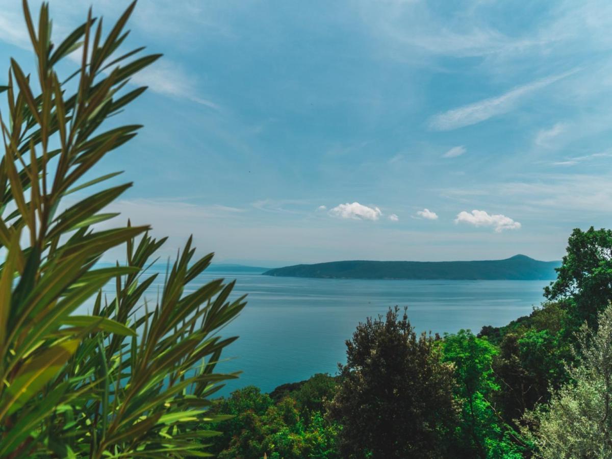 Villa Katarina Mošćenička Draga Kamer foto